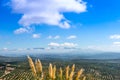 View South from Ubeda