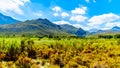 View from the southern end of the Franschhoek Pass, beside the Theewaterkloofdam, looking toward Wemmershoek and Franschhoek Mnts