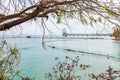 View through the southern flora plants on Dolphins Beach in Eilat, Southern Israel, where people can swim together with these