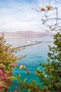 View through the southern flora plants on Dolphins Beach with floating boats in Eilat