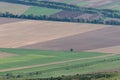 View of the sown fields in the agricultural industry