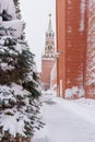 View on Spasskaya Tower in winter. Moscow. Russia Royalty Free Stock Photo