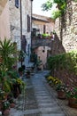 View of spello town