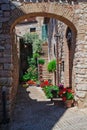 View of spello town