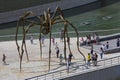 Spider near the Guggenheim Museum - Bilbao - Spain Royalty Free Stock Photo