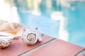 Shells next to pool Royalty Free Stock Photo