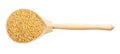 View of spoon with crushed polished wheat grains