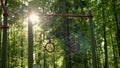 View of sports gymnastic rings in park in summer at sunset or dawn. sports equipment in summer forest, sun shines