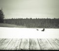 View on sportsman on the track in snowy winter forest from dark