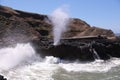 View at Spouting horn at Cape Perpetua Scenic Area Royalty Free Stock Photo