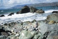 Rocks in Lands End, San Francisco Royalty Free Stock Photo