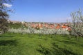 View on the spring Prague St. Nicholas' Cathedral, green Nature and flowering Trees, Czech Republic Royalty Free Stock Photo