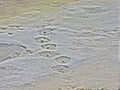 View of snow prints on the frozen river in march Royalty Free Stock Photo