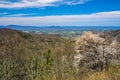 View Spring View of Irish Creek Valley Royalty Free Stock Photo