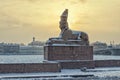 A view of the Spxinx at the University embankment in the snowstorm. Royalty Free Stock Photo