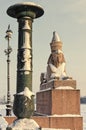 A view of the Spxinx at the University embankment in the snowstorm. Royalty Free Stock Photo