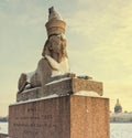 A view of the Spxinx at the University embankment in the snowstorm. Royalty Free Stock Photo