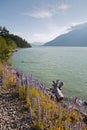 View of the Squamish River in British Columbia