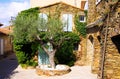 View on square with green olive tree and typical French mediterranean stone house covered with ivy in bright natural sun light Royalty Free Stock Photo