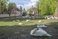 View of the square with swans near the Begijnhof in Bruges, Belgium Royalty Free Stock Photo
