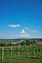 A view on St. Barbara church over wineyards in village Pavlov