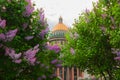 View of St. Isaac`s Cathedral in early spring in lilac Royalty Free Stock Photo