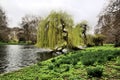 A view of st James Park in London with Buckingham Palace in the Background Royalty Free Stock Photo