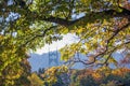 View of St Johns Bridge through the foliage of autumn trees