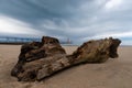 Incoming storm on Lake Michigan Royalty Free Stock Photo