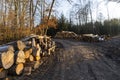 View of a stack of firewood for the winter. Logging industry. Czech Republic Royalty Free Stock Photo