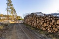 View of a stack of firewood for the winter. Logging industry. Czech Republic Royalty Free Stock Photo