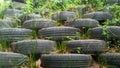 Stack of Used Tires as Retaining Wall on Hill Royalty Free Stock Photo