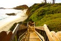 A staircase to the beach down a hillside with lush green leaves Royalty Free Stock Photo