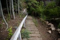 View of stairs in a hiking trail in park city Utah Royalty Free Stock Photo