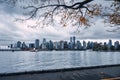 View from Stanley park with maple tree and skyscraper in downtown on coastline at Vancouver Royalty Free Stock Photo