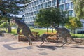 View of statue - Kangaroos in the Perth CBD. Royalty Free Stock Photo