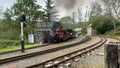 A view of a Steam Train at Tan-y-Bwlch Station