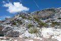 Grand Turk Island Eroded Landscape