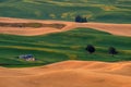 View of Steptoe Butte in the Palouse region, Washington state USA Royalty Free Stock Photo