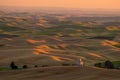 View of Steptoe Butte in the Palouse region, Washington state USA Royalty Free Stock Photo