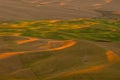 View of Steptoe Butte in the Palouse region, Washington state USA Royalty Free Stock Photo