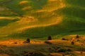 View of Steptoe Butte in the Palouse region, Washington state USA Royalty Free Stock Photo