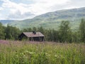 View of STF Tarrekaise Mountain cabin on a flowering meadow on the banks of the Tarra river, at Padjelantaleden hiking