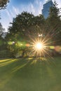 View of Stirling Gardens at golden hour Royalty Free Stock Photo