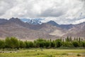 View of Stok Kangri from the river Indus floodplain, Thiksay