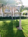 View of the stone path and the Arab Arabian Muslim whiteness of stone building, cottages, houses on a background of tropical green