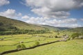 View of stone walls and meadows, Swaledale