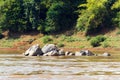 View of the stones on the river Nam Khan, Luang Prabang, Laos. Copy space for text. Royalty Free Stock Photo