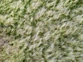 Looking down on coastal sand dunes. Aerial image. Royalty Free Stock Photo