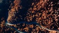 Aerial view of straight forest road in the mountains. Colourful landscape with asphalt road, trees with leaves at sunset